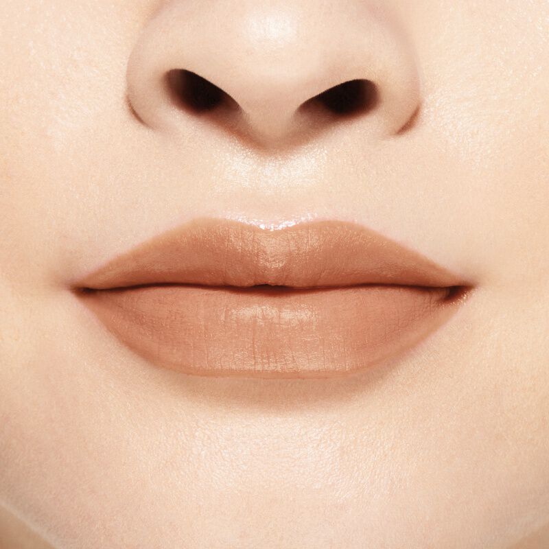 Shiseido visionairy on sale gel lipstick