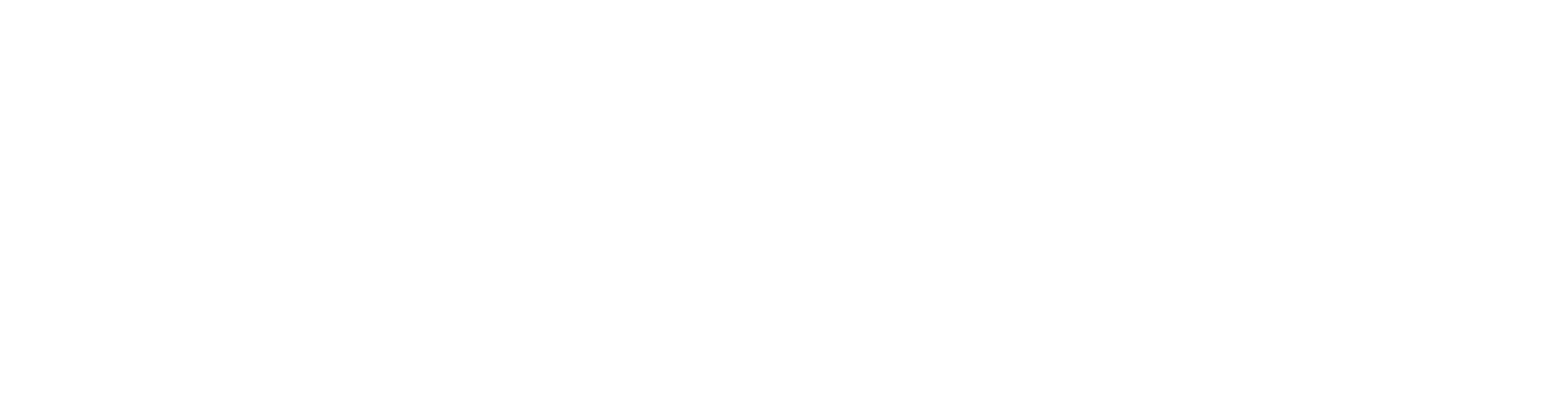 Shiseido