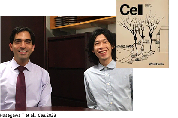 Hasegawa T et al., Cell.2023