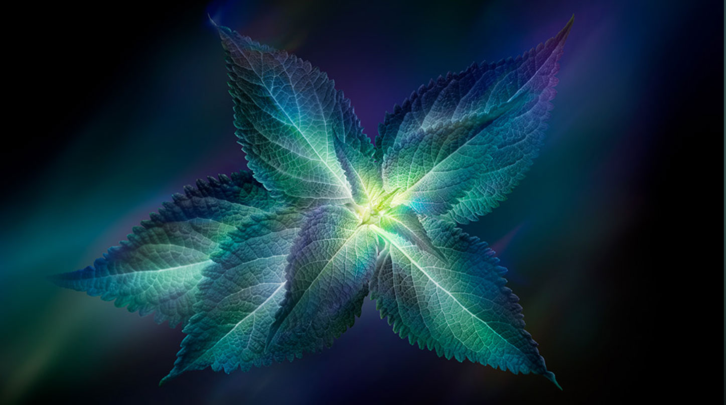 FUTURE SOLUTION LX Ingredients