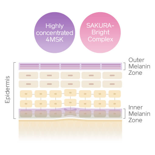Highly concentrated 4MSK, SAKURA-Bright Complex