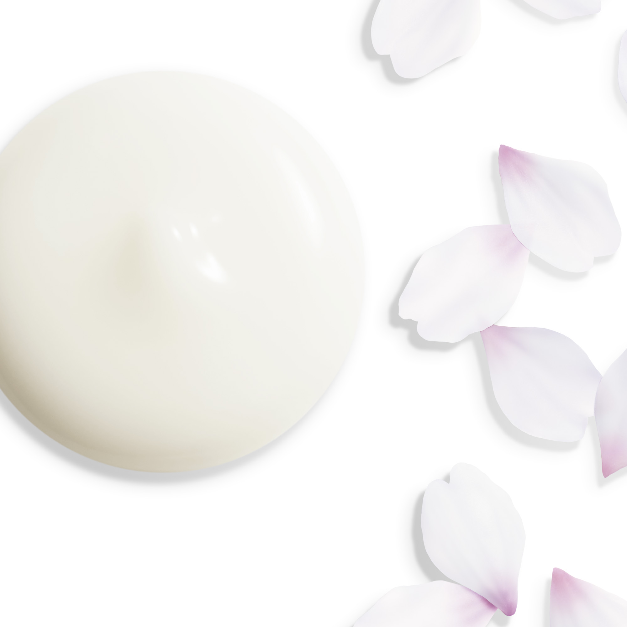 WHITE LUCENT SAKURA-Bright_Skin